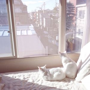 2019年中文字字幕在线看不卡
