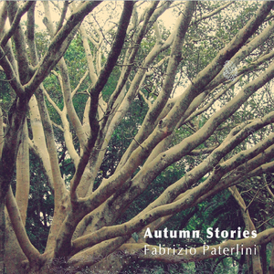 2019年中文字字幕在线看不卡
