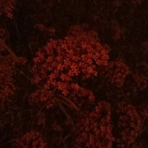 2019年中文字字幕在线看不卡
